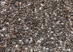 Chia Seed Benefits and Nutrition