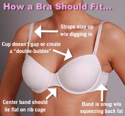 How should a bra fit?