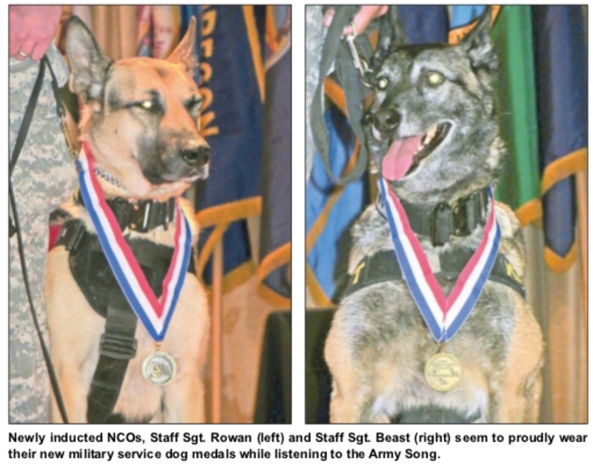 Newly inducted NCOs, Staff Sgt. Rowan (left) and Staff Sgt. Beast (right) seem to proudly wear their new military service dog medals while listening to the Army Song