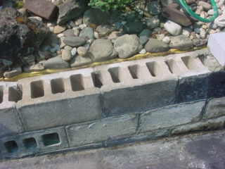 Photo B