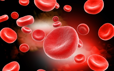 Dietary heme iron comes from the red blood cells in animals.
