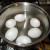 Boil Eggs Boil Eggs