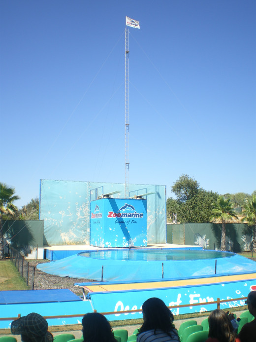 Aqualocos Show