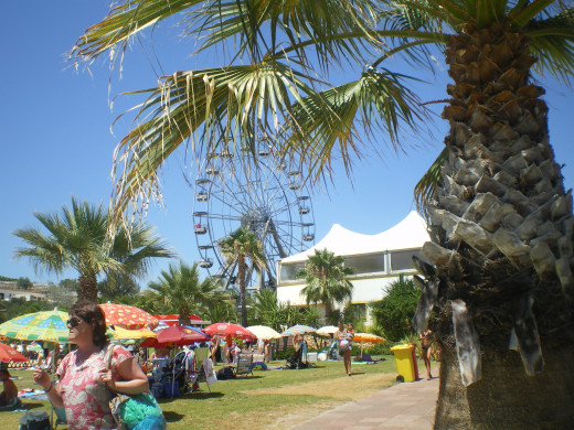 Lawn and picnic area