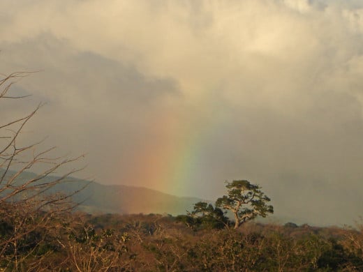 The mountains in the Cordillera Guanacaste are frequently cloud-covered, but the private reserve known as the Monteverde Cloud Forest is most commonly known.  Near the mountains you can often see diffuse rainbows like this one.