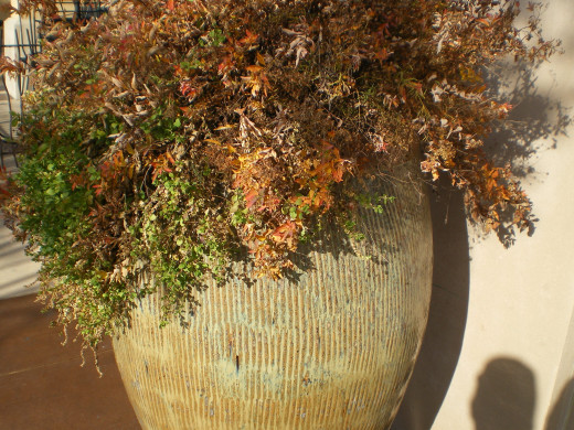 Large Floral Jar