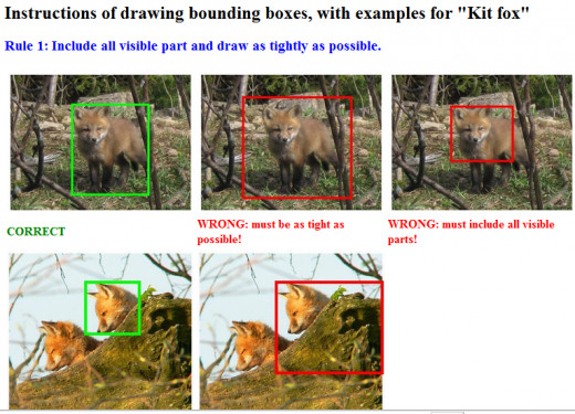 An example of an AMT HIT.You have to draw bounding boxes around the specified object.