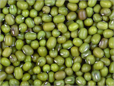 Green gram