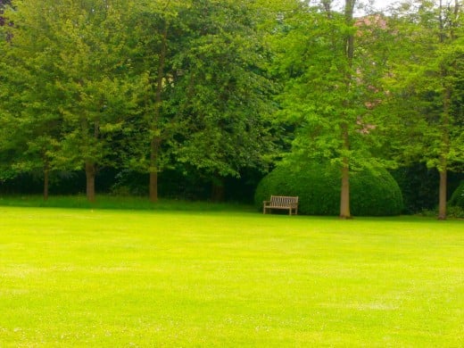 Idyllic place to relax. Photo by Flysky