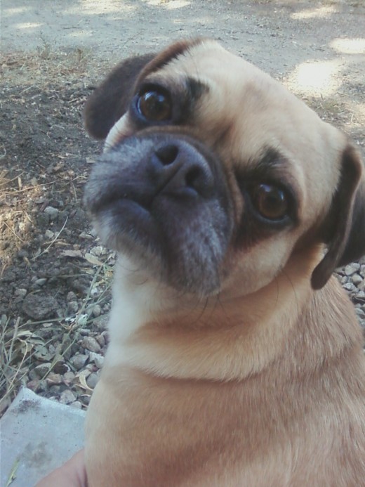 The ever-popular over-the-shoulder pose for the Paparazzi.  She's obviously feeling beautiful.