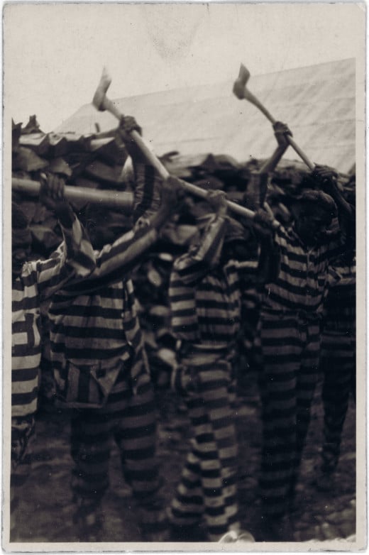 Oh ha, ha. So you said the cons and have a picture of convicts, very punny.