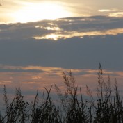 Skeeter0757 profile image