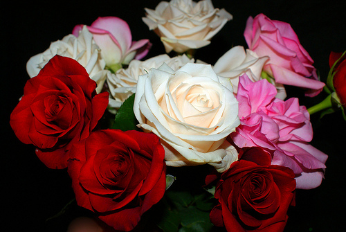 Roses make a beautiful centerpiece for an outdoors garden party.