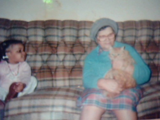Great Grandma Nancy, Tabby the cat and Andy Fandy