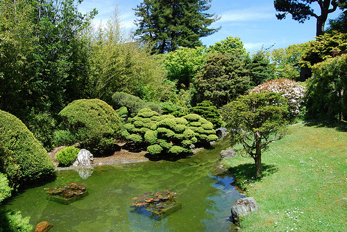 Take your date for a stroll through the San Francisco Botanical Garden.