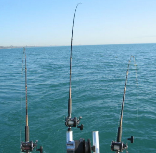 There are many individuals and companies who offer fishing adventures in charter boats, but the range of prices all begin at around $500 for half a day.
