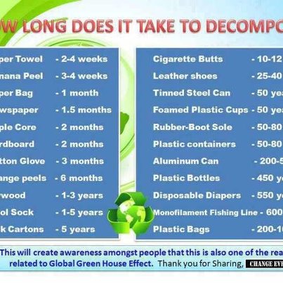 Visual of how long it takes to decompose