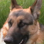 corazondeangel21 profile image