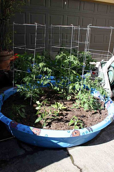 Building your own small garden using a kiddie swimming pool