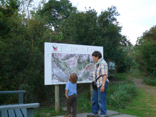 Which walk shall we do?