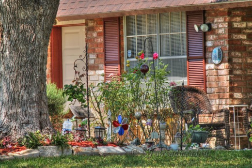 A typical front yard in San Antonio.