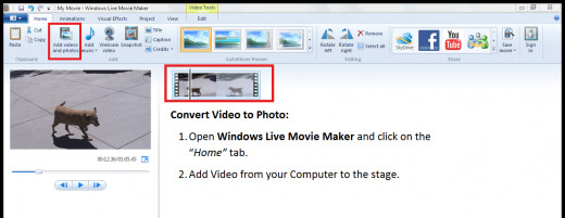 Screen Shot