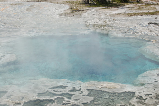 Hot Spring, Yellowstone National Park