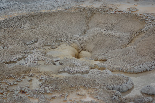 Mudpots, Yellowstone National Park