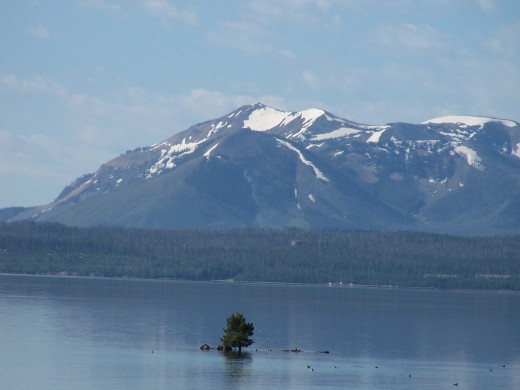 The Absoraka Range in Yellowstone