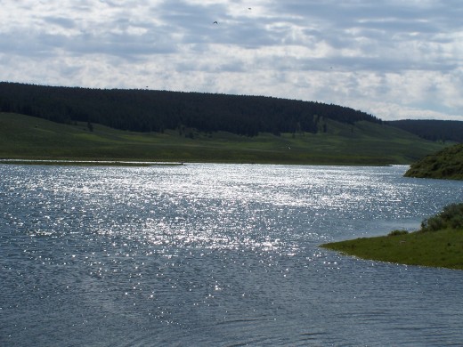 The Yellowstone River