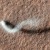 Dust devils on Mars can be tall: this one is half a mile, but another 12-mile-tall one was detected in March 2012. They slither across the surface frequently, sometimes leaving odd trails on the surface.
