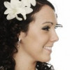 wedpittsburgh profile image
