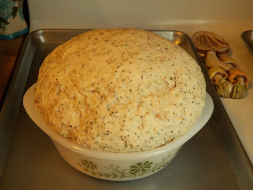 7 grain dough after it has been left to rise for an hour