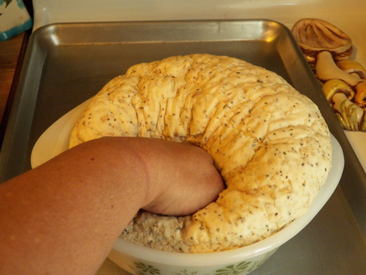 punch the dough down, take out of the bowl and shape into loaf or mini loaves