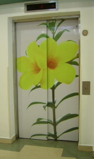 Cheery flowers greet you as you enter the lifts