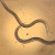 Nematodes Nematodes