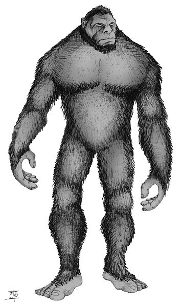 Bigfoot - Sasquatch. Image credit: Pie Grande via Wikimedia Commons