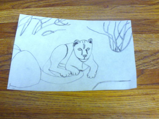 The sketch of the baby lion.