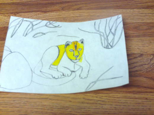 Coloring in the baby lion with yellow and tan colored pencils