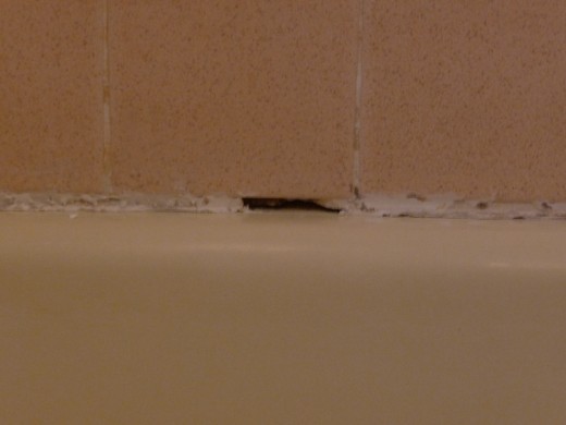 Oops! Dug away some grout. I filled this with caulk later and no one's the wiser. Well, except you...
