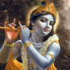 krishnnaa profile image