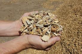 Handful of wood pulp