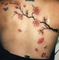 Blossom Tattoo: Chinese, Japanese Flower Designs-12 Seductive Ideas