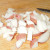 Cut Potato Cut Potato
