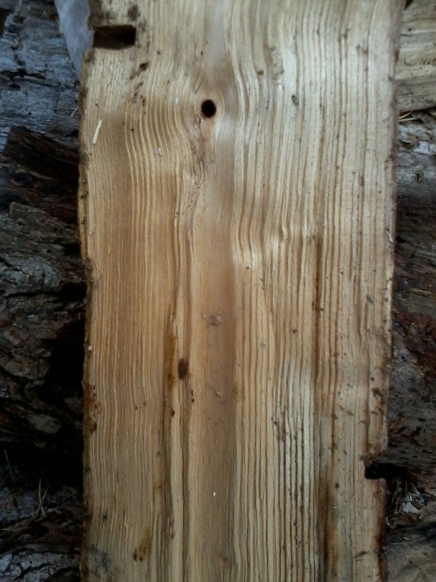 Wood Identification Chart