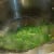 Adding Cilantro to A Soup Adding Cilantro to A Soup