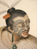The Island Megafauna: The Polynesians