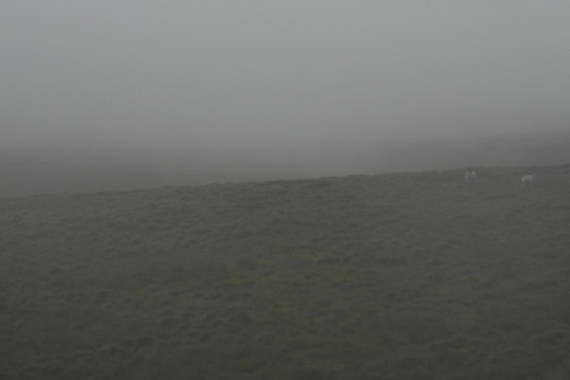 Pen-y-Ghent obscured by cloud (p23)