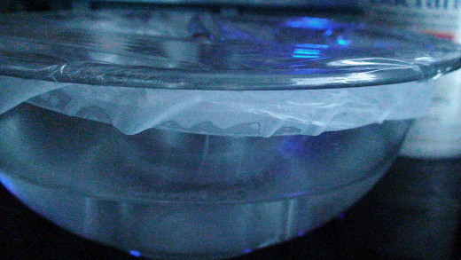 Tightly secure the plastic wrap to the bowl with tape.