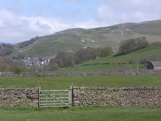 Dry stone walls near Settle, North Yorkshire